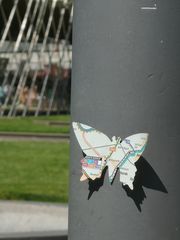 Schmetterling im Elisengarten Aachen (2021-08-14)