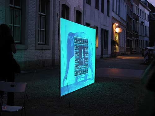 Bild